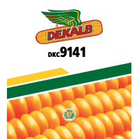 MAIZE SEEDS  -  Dekalb DKC 9141  -  3.5 KG 
