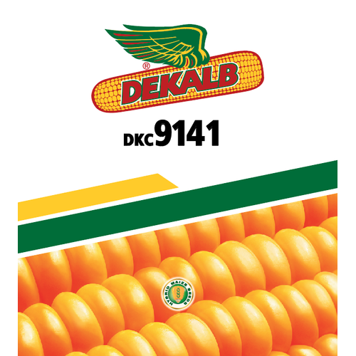 MAIZE SEEDS - Dekalb DKC 9141 - 3.5 KG.