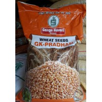 WHEAT SEEDS  -  Pradhan  -  20 KG