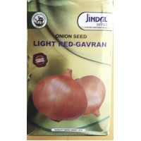 ONION SEEDS - JINDAL - LIGHT RED GAVRAN - 500 GM