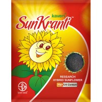 SUN FLOWER SEEDS  -  SUN KRANTI KSH 7032  -  2 KG 