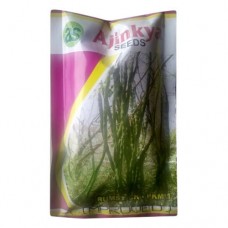 DRUM STICK SEEDS  -  PKM 1  -  1 KG