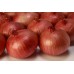 ONION SEEDS - INDO AMERICAN - INDAM 4 - 500 GM ONION SEEDS - INDO AMERICAN - INDAM 4 - 500 GM